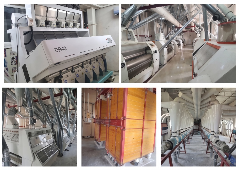 Real Grain Quality and Food Safety